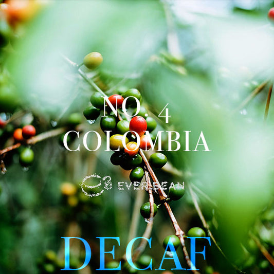 Nærbillede af kaffekirsebær på en gren med grønne blade. I teksten står der "No. 04 - Colombia Decaf (øko)", "EverBean" og "koffeinfri kaffe" med fede blå og hvide bogstaver.