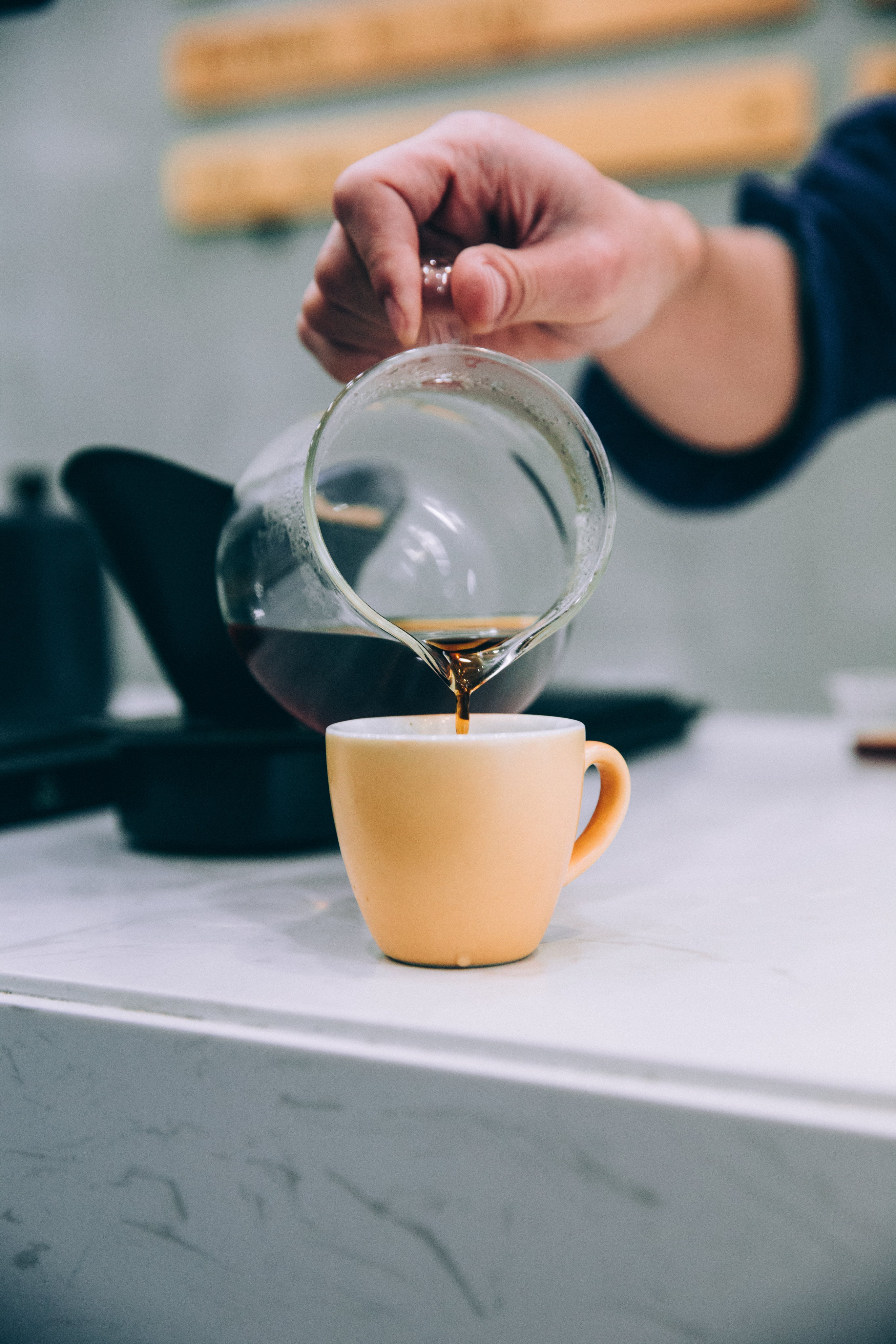 En hånd, der holder en karaffel med et dampende kaffefilter, formentlig under processen med at lave over-kaffe. Sollys strømmer gennem et vindue i baggrunden og oplyser en grøn potteplante på en træoverflade.