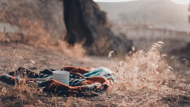 Et hvidt krus sidder på et farverigt tæppe, der er lagt på tørt græs, med sollys, der filtrerer gennem træer og et sløret naturlandskab i baggrunden.