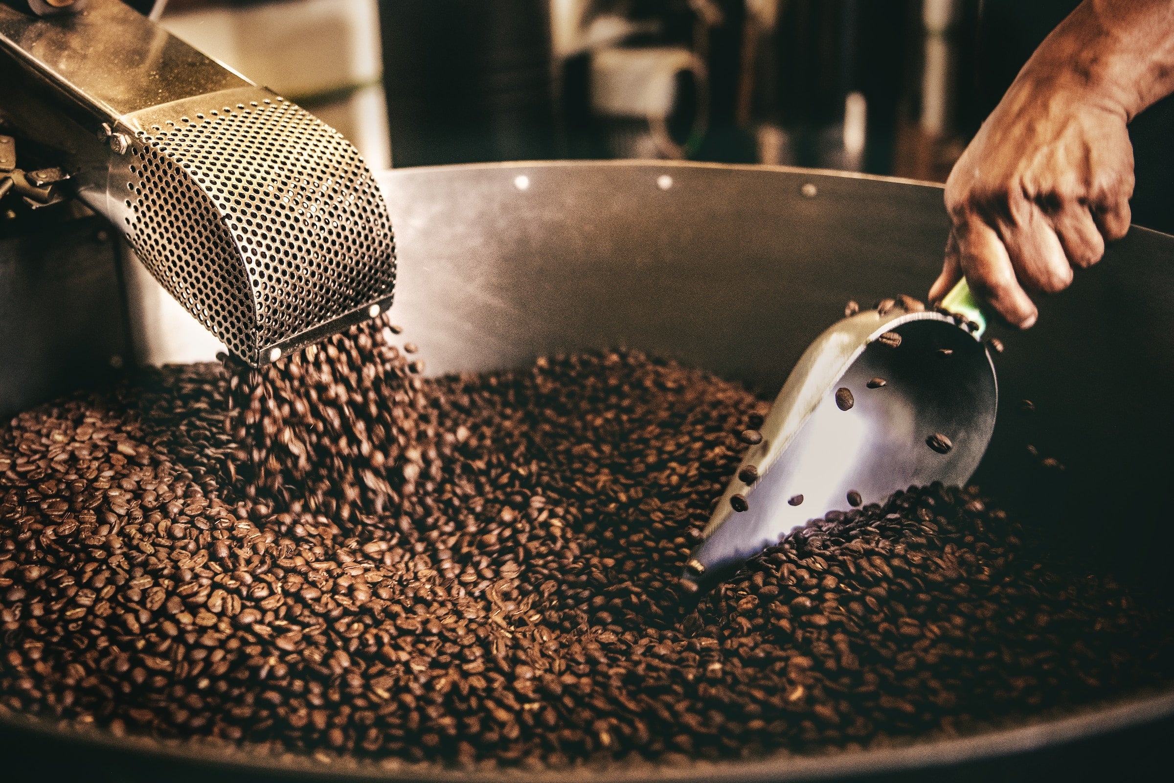 Nærbillede af ristede kaffebønner, der hældes fra en metalskakt og øses op i hånden med en metalskovl i en stor rund beholder på et kafferisteri.