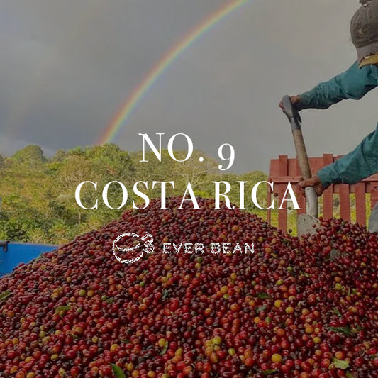 En person bruger en rive til at sprede røde kaffekirsebær i en stor bunke på en gård, og fanger essensen af 901 · Costa Rica, Grønne Bønner af EverBean. En levende regnbue buer sig hen over den overskyede himmel. Teksten på billedet lyder "No. 9 Costa Rica" sammen med EverBeans logo.