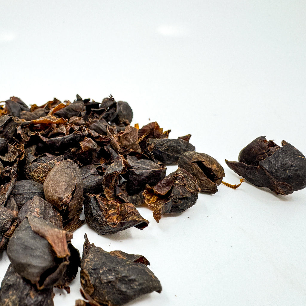 En bunke tørrede, mørkebrune kaffefrugtbælge fra EverBean ApS. er spredt på en hvid overflade, med nogle få adskilte - ideelt til brygning af bæredygtig Cascara Te (øko).