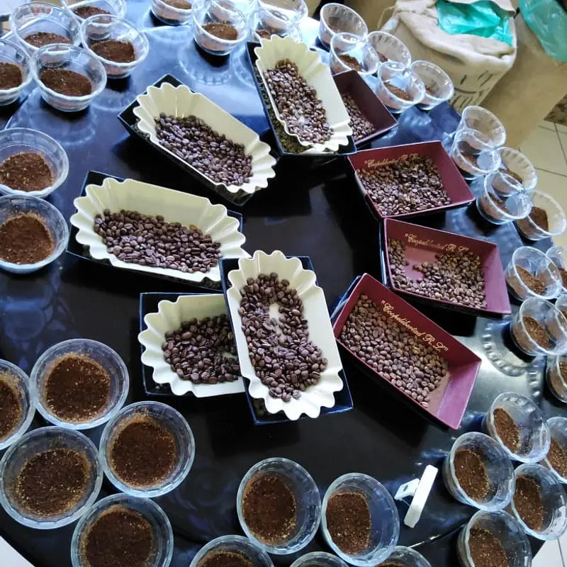 Et rundt bord med bakker med kaffebønner i midten, omgivet af små glasbægre fyldt med malet kaffe, pænt anbragt til en kaffesmagning eller en cupping-session.